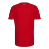 Wales Home Soccer Jersey World Cup 2026