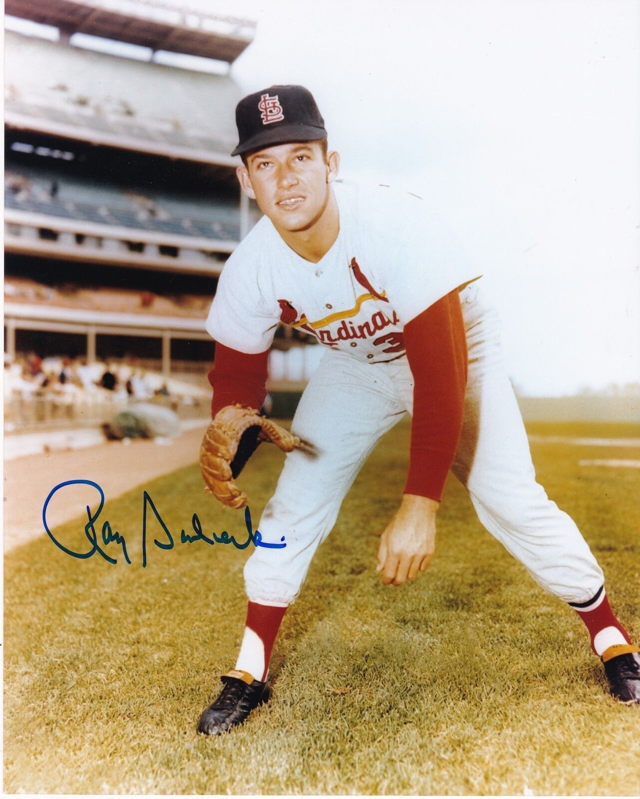 RAY SADECKI ST. LOUIS CARDINALS ACTION SIGNED 8x10