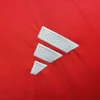 2024 Wales HomeFootball Shirt 1:1 Thai Quality