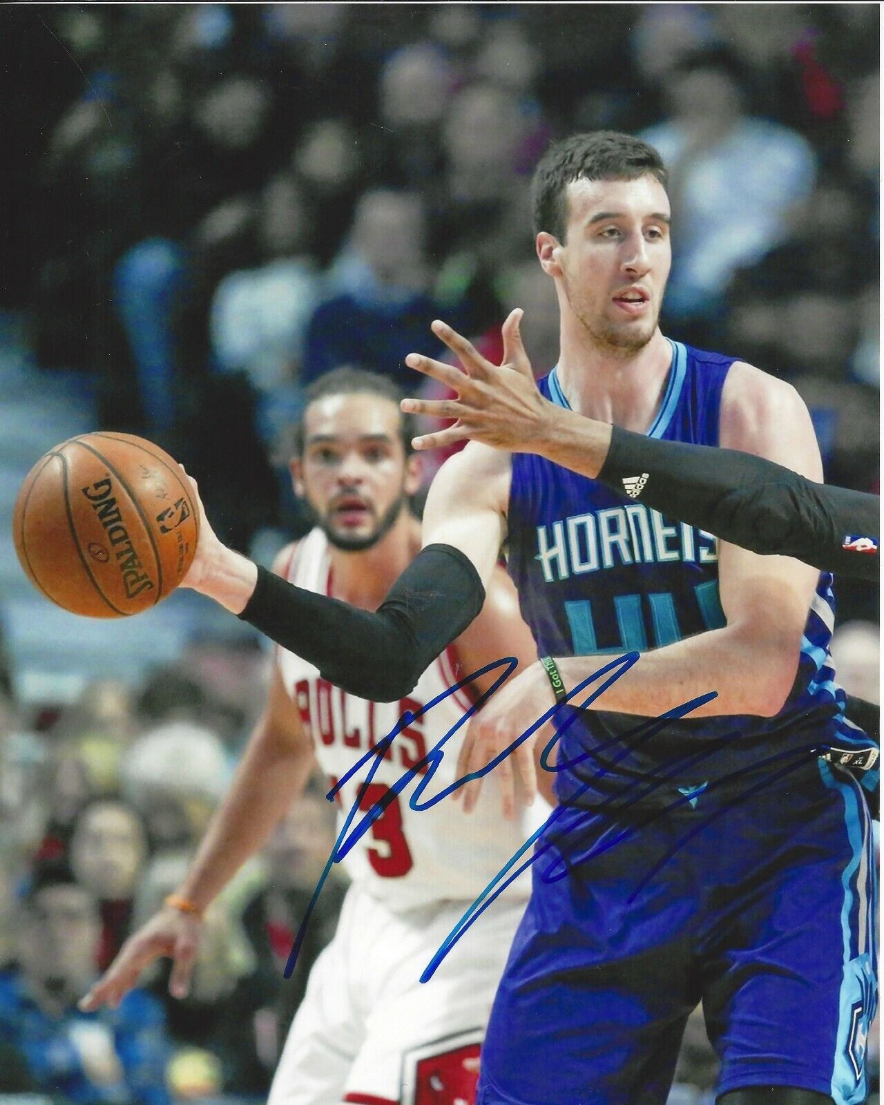 Frank Kaminsky Autographed 8x10 Charlotte HornetsB114