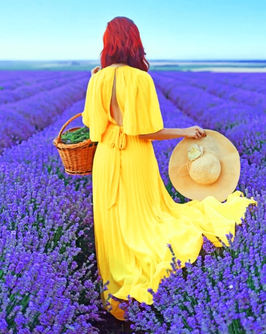 

Woman In A Lavender Field – Paint By Numbers - 40*50CM, 501 Original