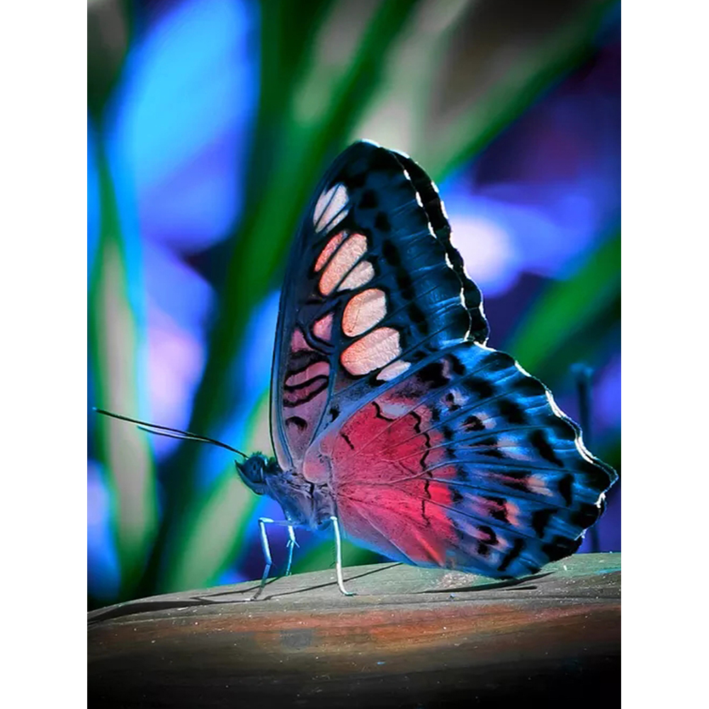 

30*40CM-Round Drill Diamond Painting-Butterfly, 501 Original