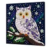 DIY Pre-Framed Owl Button Art Canvas Kit