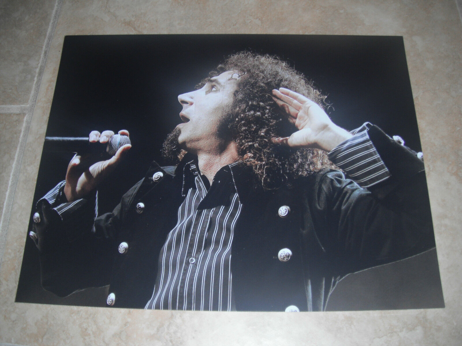 Serj Tankian System of a Down Live Color 11x14 Promo Photo Poster painting