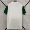 Joyfball 2025/2026 Palmeiras Away Jersey 1:1 Thai Quality