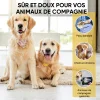 Spray de soin pour la peau des animaux