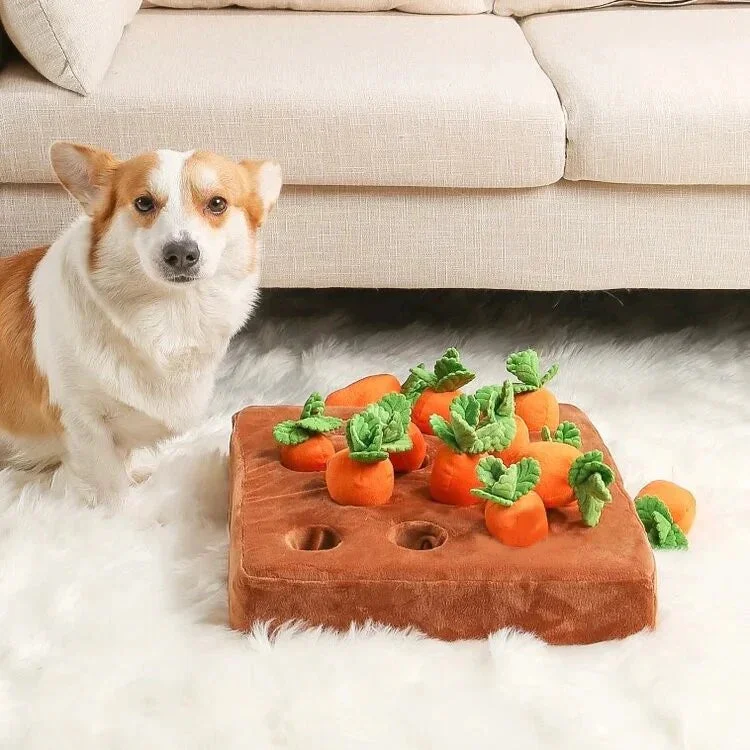 Carrot Patch ™ - Interactive Dog Toy