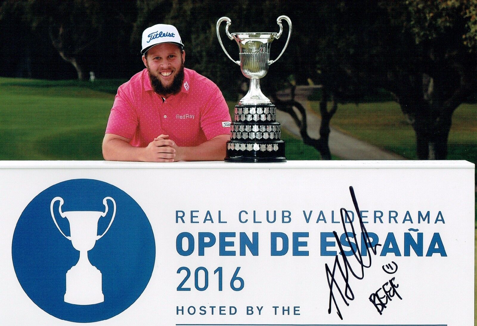 Andrew BEEF JOHNSTON Signed 12x8 Golf Photo Poster painting 2 Autograph AFTAL COA