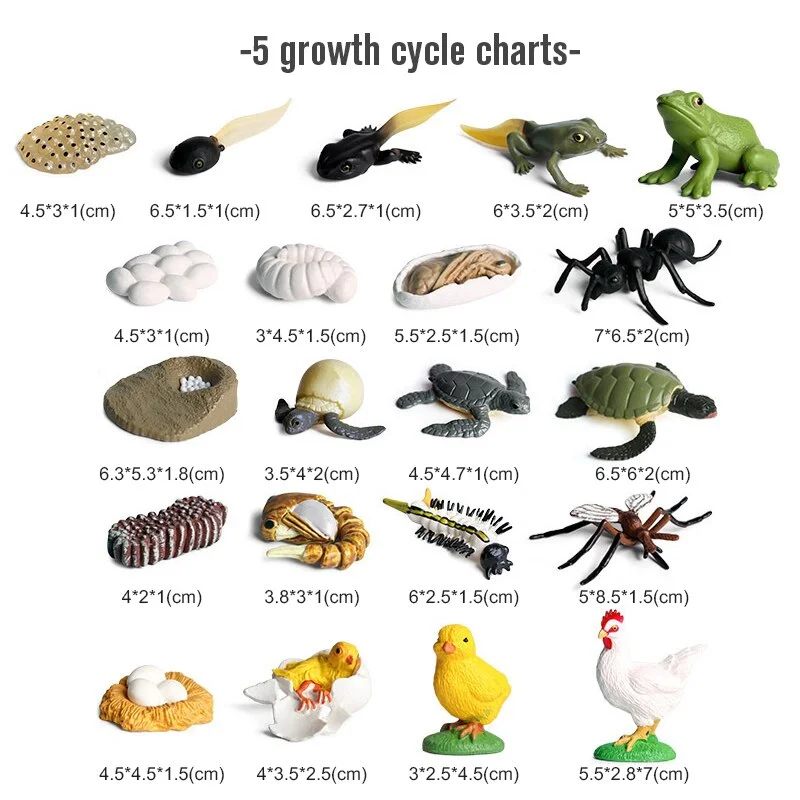 12PCS Safari Animals Figures Toys Different Varieties of Zoo Jungle Animal Toy Set Great Educational Toys for Kids Toddlers