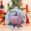 Pumpkin-Embroidery Kit