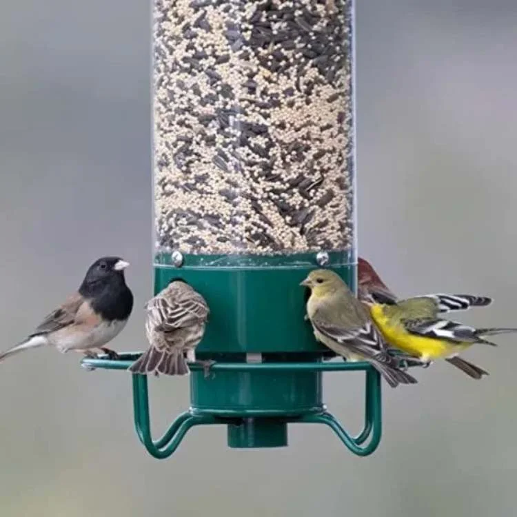 Smart Bird Feeder