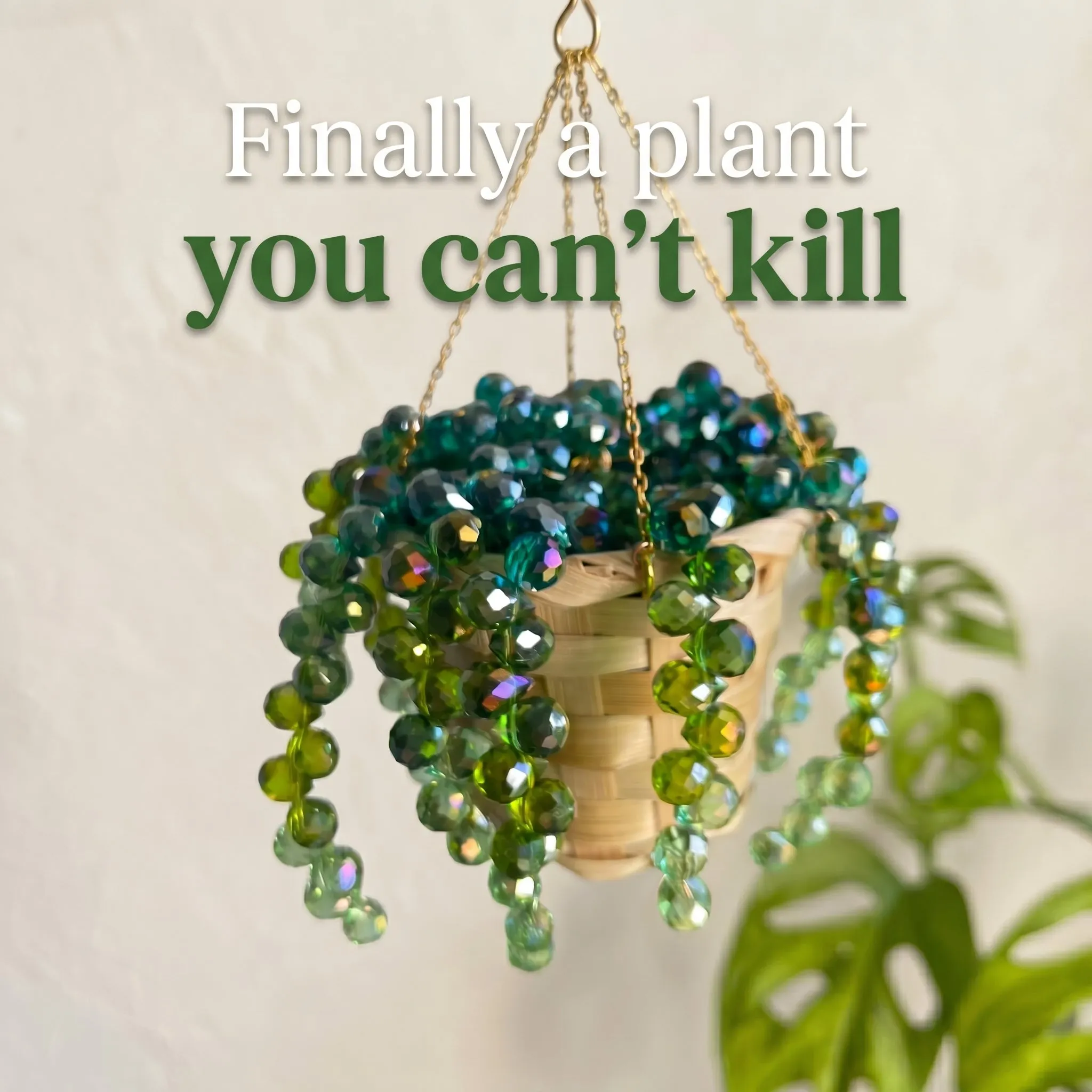 Plant Suncatcher DIY Kit