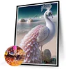 Combo Kit（2PCS)-Diamond Painting-DIY DIY Full Round Drill Parrot (30*40CM)
