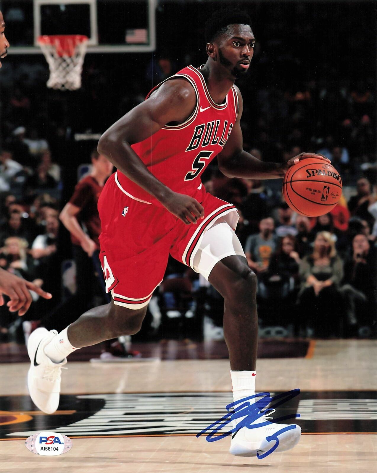 Bobby Portis signed 8x10 Photo Poster painting PSA/DNA Chicago Bulls Autographed