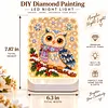 DIY Diamond Art LED Night Light &ndash; Light-Up Table Decor, Double-Sided Printed DIY Crystal Pearl Painting Decoration for Holiday & Gifts(owl)
