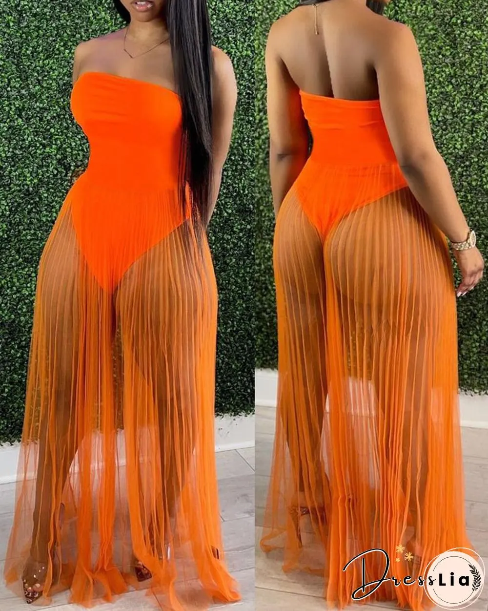 Off Shoulder Sleeveless Plain Sheer Mesh Dress