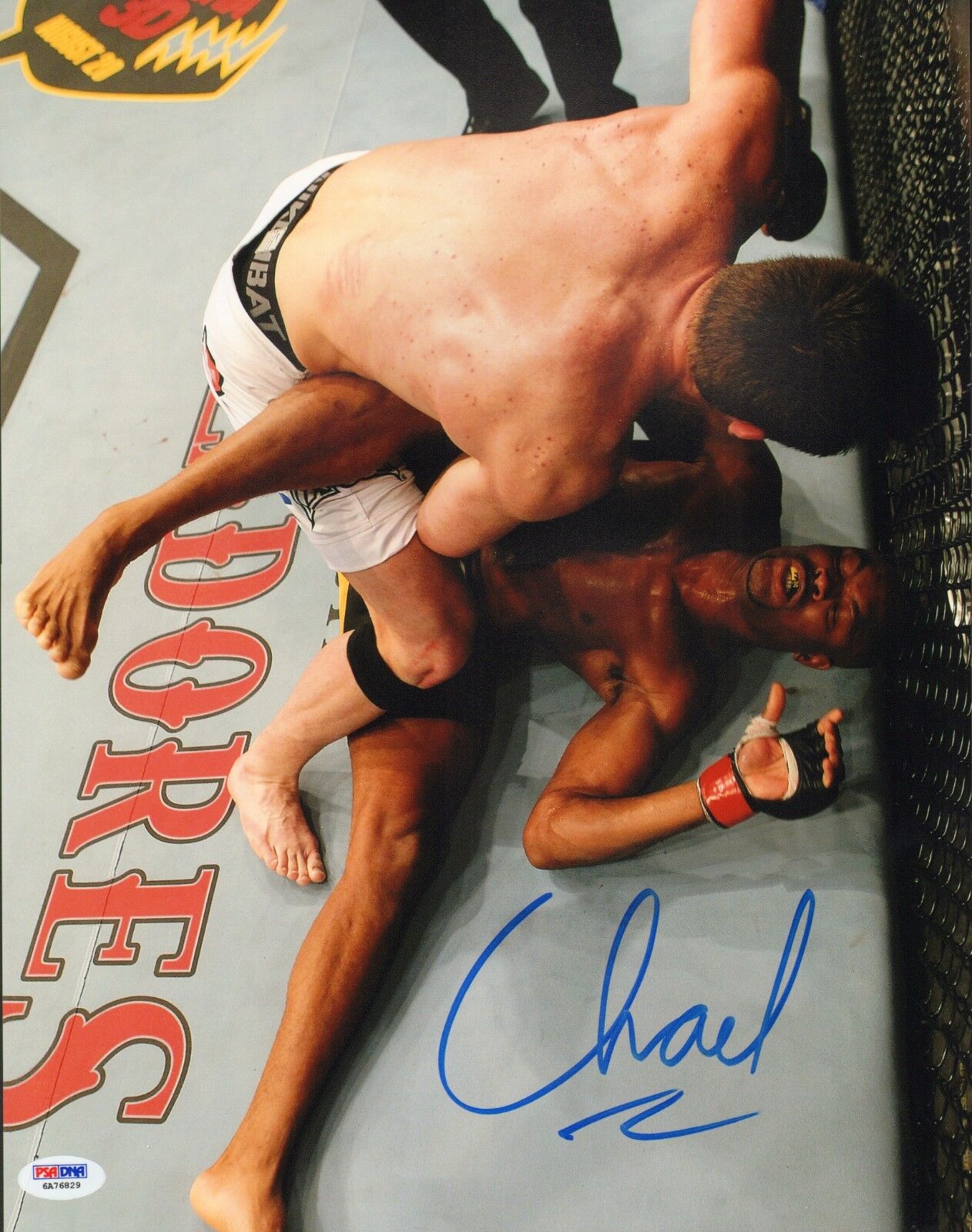 Chael Sonnen Signed UFC 11x14 Photo Poster painting PSA/DNA COA 117 148 Picture Anderson Silva 1