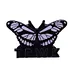 Mariposa de sueños