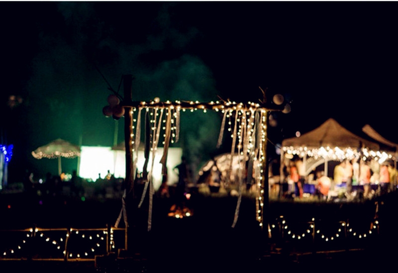 Tegooe LED Globe Ball String Lights - USB Battery Powered for IndoorOutdoor Decor