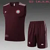 2025/2026 Bayern Munich Pre-Match Training Deep Dates Vest+Shorts Football1:1 Thai Quality