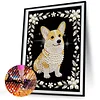 Diamond Painting-DIY Special Shaped Drill Pearl Painting Corgi(30x40cm)