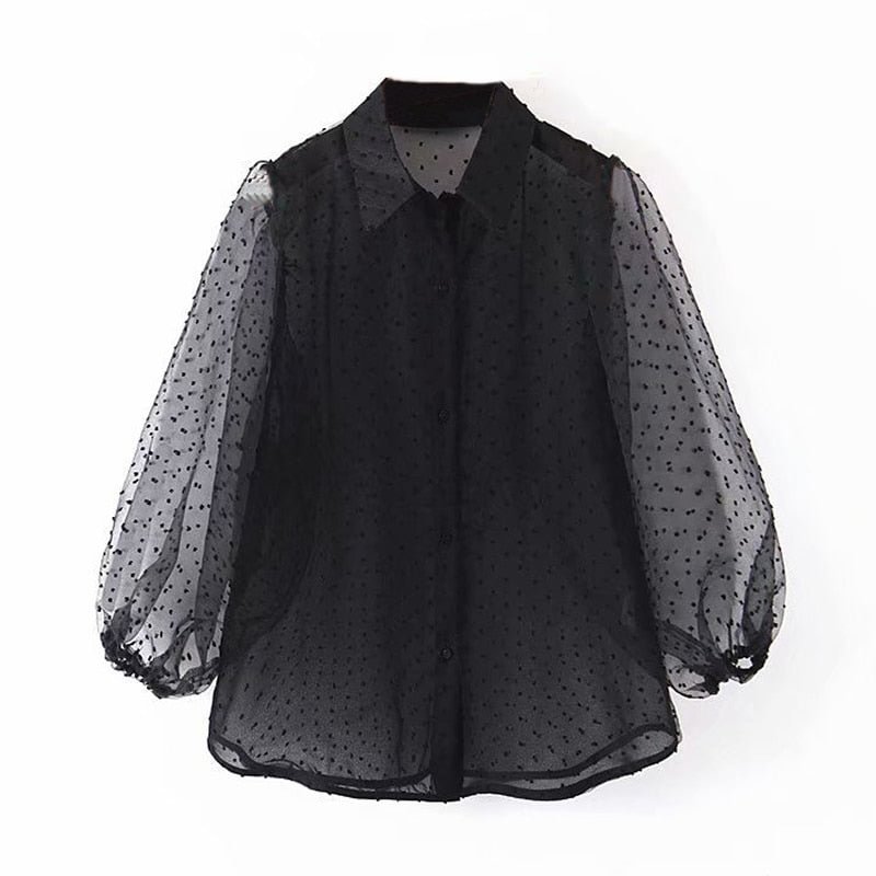 Aachoae Dot Embroidery Women  Organza Blouse 2021 Lantren Sleeve Black See Through Chic Top Casual Turn Down Collar Shirt Blusas