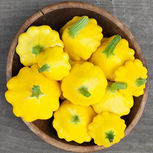 Squash Sunburst F1 - Yellow Scallop Patty Pan Bush Heirloom Non-Gmo Jonyparkseed®