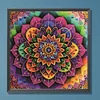 Mandala-Peinture spéciale partielle au diamant-30*30cm