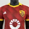 24/25 Player Roma Soccer Jersey Third Away