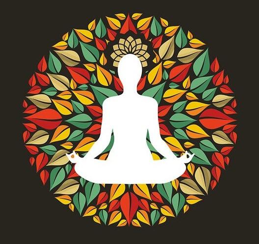 

Lotus Chakra Pose – Paint By Numbers - 40*50CM, 501 Original
