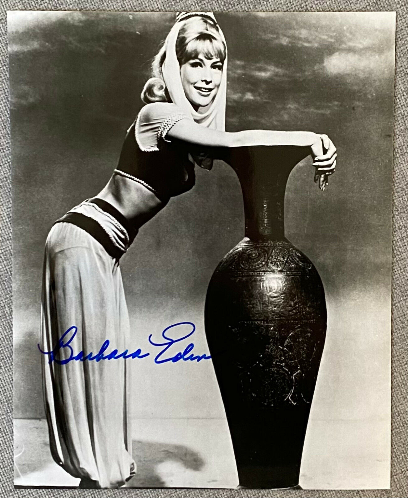 I Dream of Jeannie Barbara Eden Signed IP 8x10 B&W Photo Poster painting - Authentic