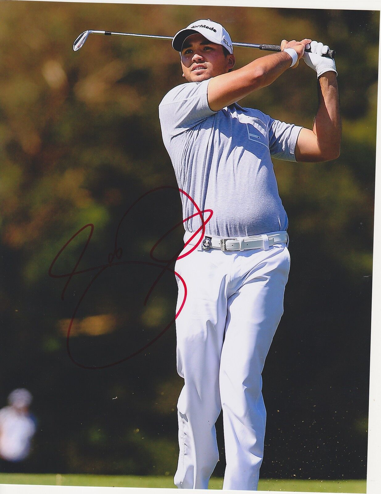 JASON DAY Signed 8 x 10 Golf Glossy Photo Poster painting 2015 PGA Championship Champion Winner