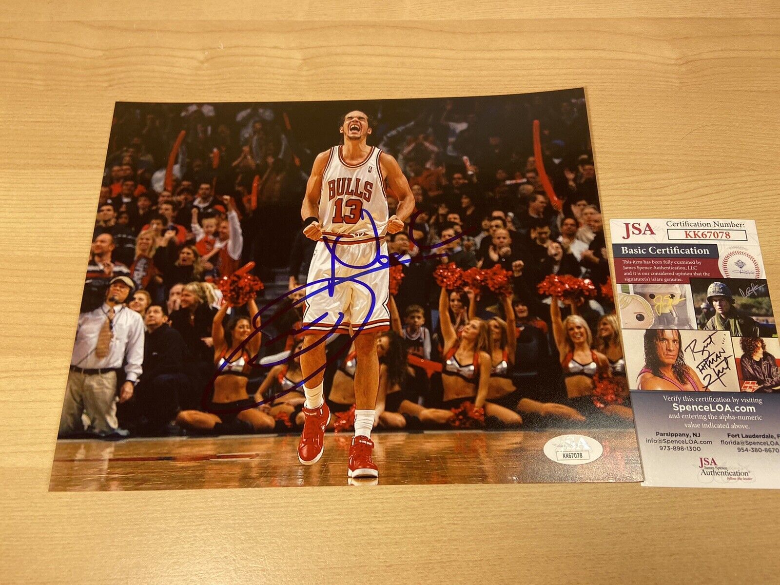 Joakim Noah Chicago Bulls Rose Knicks Autographed Signed 8X10 Photo Poster painting JSA COA