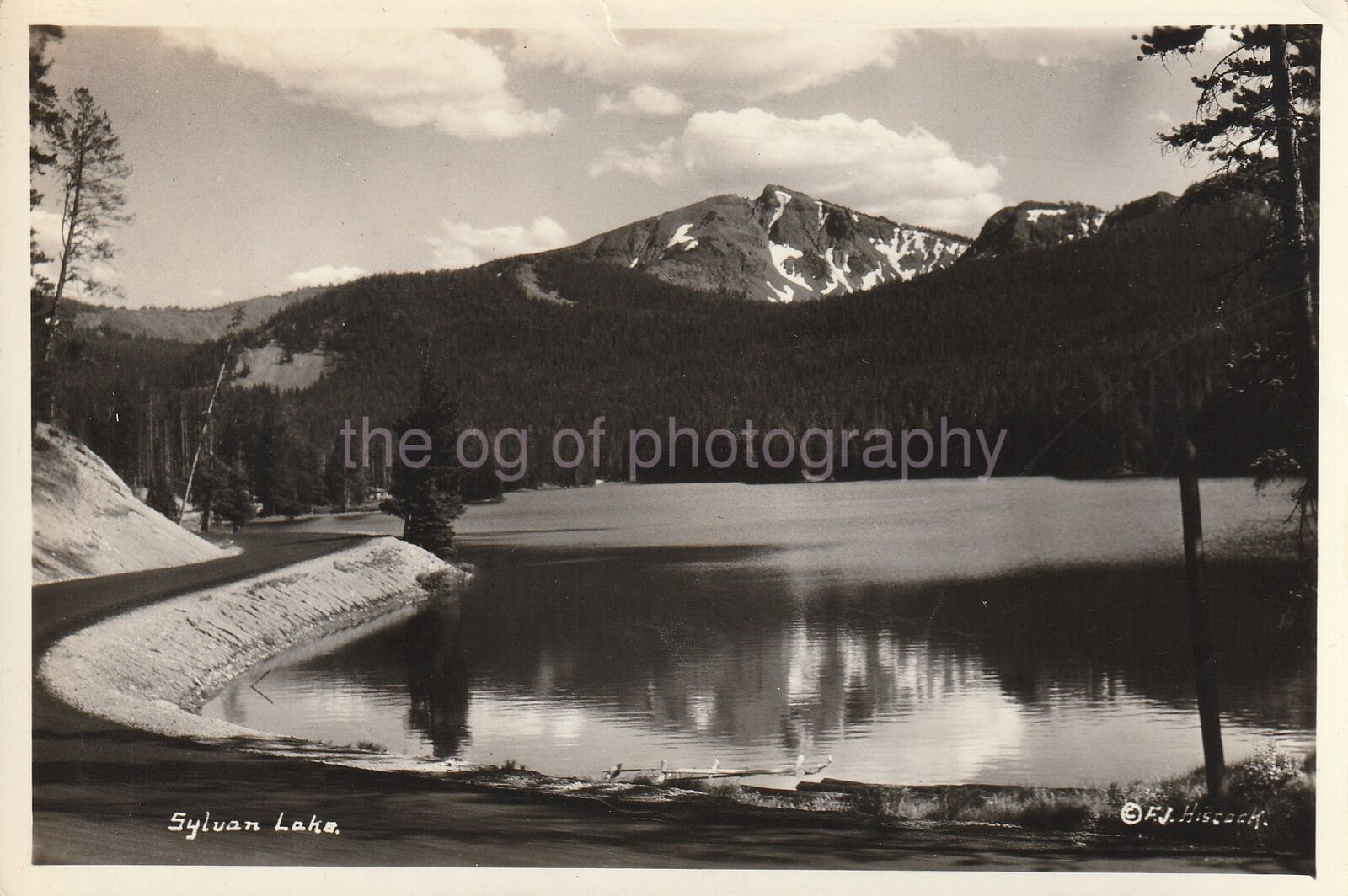 SYLVAN LAKE Vintage FOUND Photo Poster paintingGRAPH bwOriginal Snapshot 91 11 V