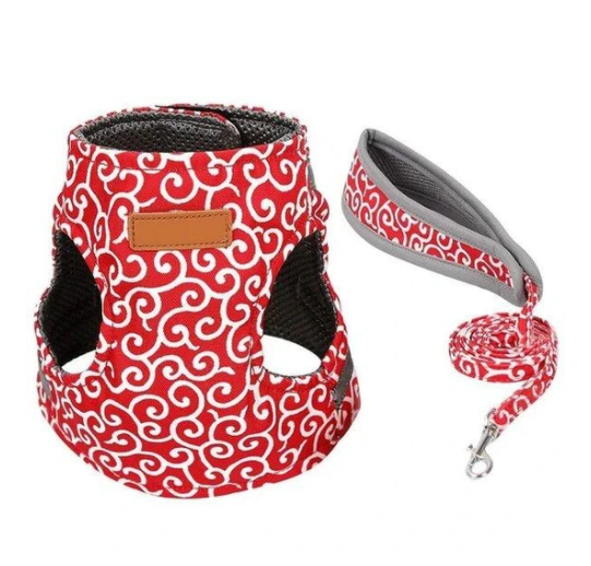 Cat Vest Harness And Leash Set To Outdoor Walking