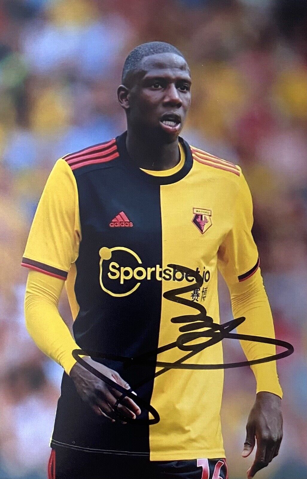 Abdoulaye Doucoure Genuine Hand Signed Watford 6X4 Photo Poster painting, See Proof