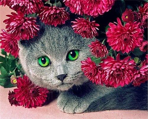 

Cat & Blossom – Paint By Numbers - 40*50CM, 501 Original
