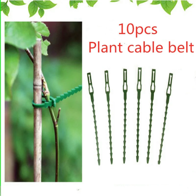 Adjustable Plastic Plant Cable Ties Reusable Cable Ties for Garden Tree Climbing Support Hydroponic Systems Mini Plastic Tray