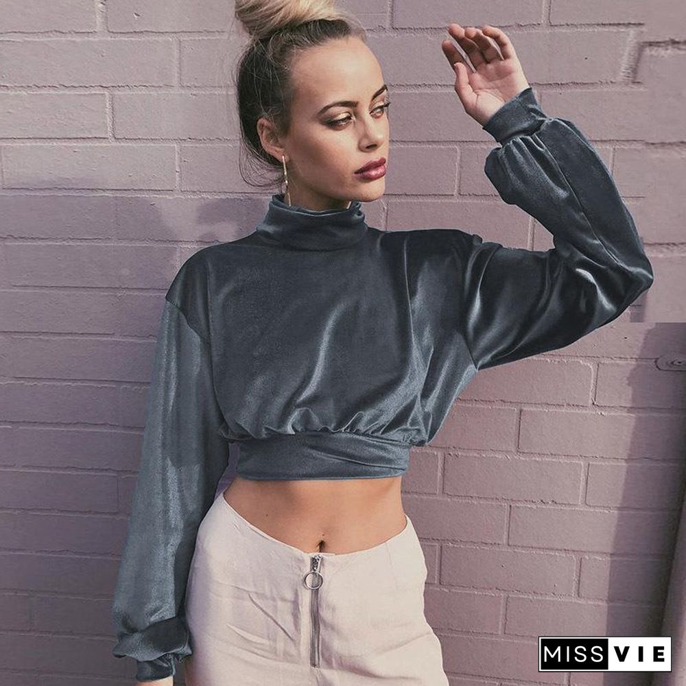 High Neck Midriff Baring Velvet Long Sleeve Top