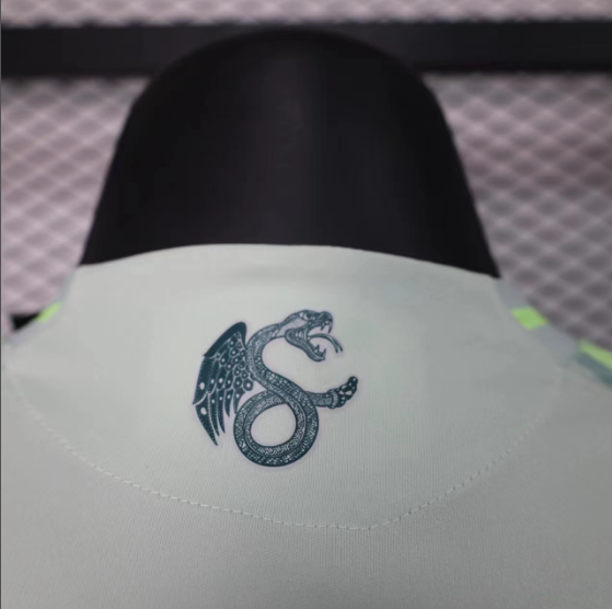 2024 Mexico Away Player Version Football T-Shirt Thai Quality