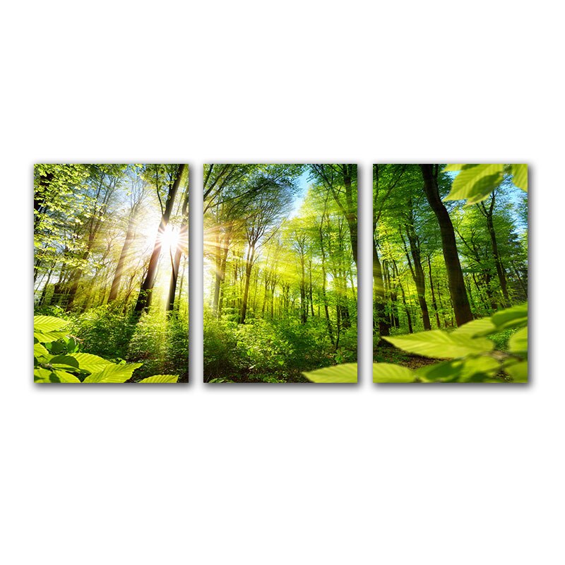 Wall Art Landscape Painting Green Forest Sunshine 3 Piece Set Living Room Home Decoration