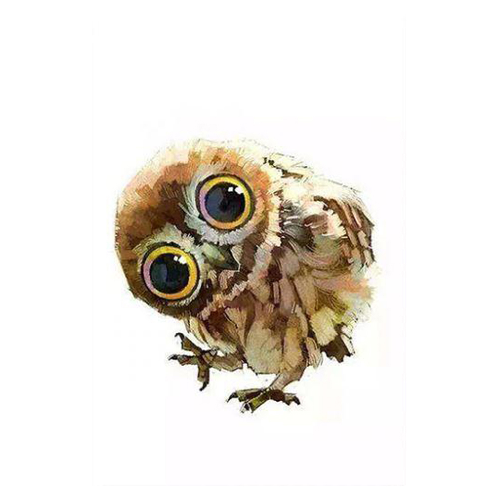 Cute Owl-Paint by Numbers-8"x8"/20x20cm