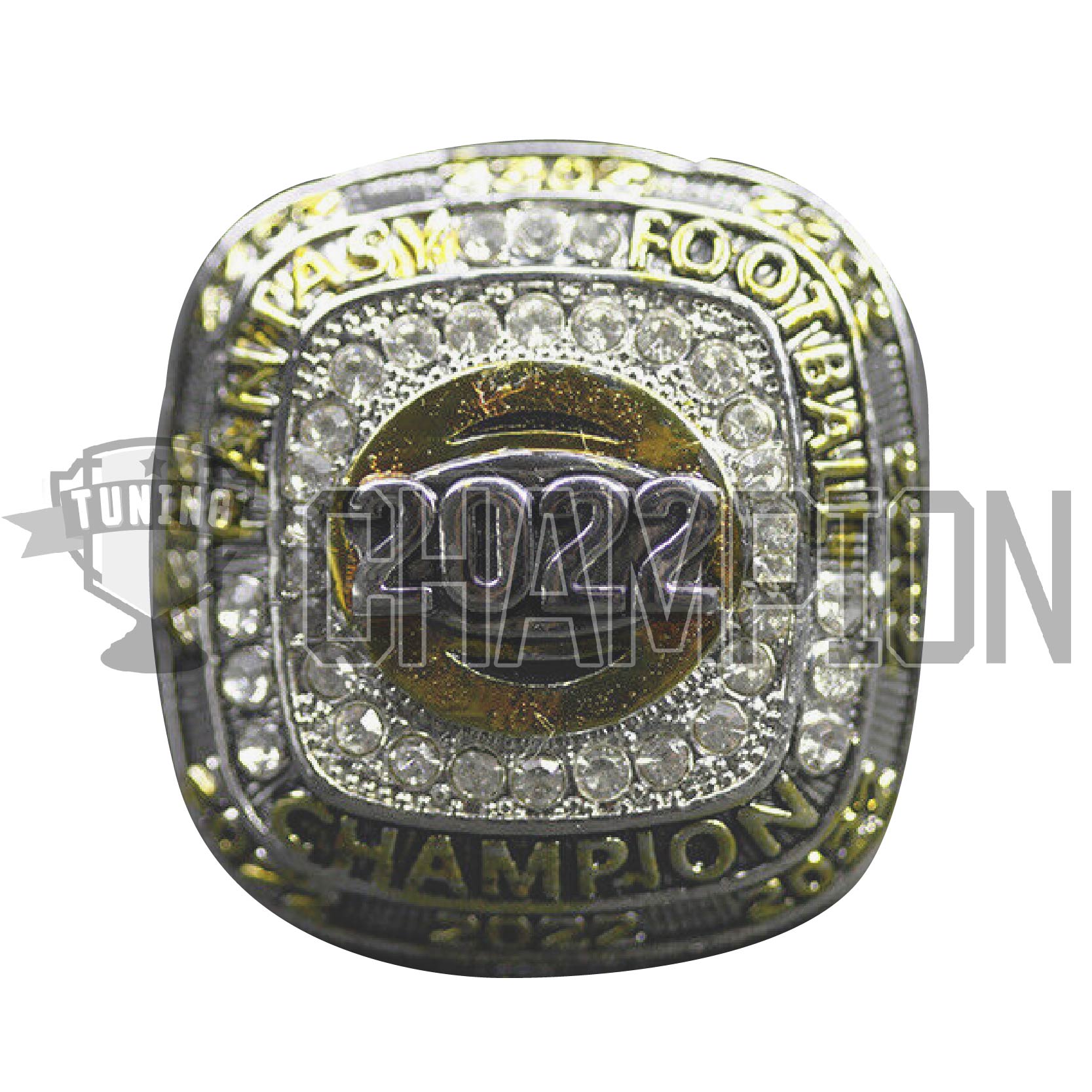 2021 Fantasy Football Championship Ring | Premium Silver and Gold Tone Award Trophy for FFL Champion | Stand Included