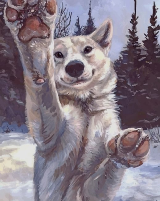 

White Wolf – Paint By Numbers - 40*50CM, 501 Original