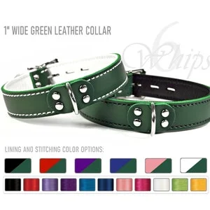 pornhint Pornhint Green Leather BDSM Collar - 1" Inch Wide with Dee Front -  Locking Buckle