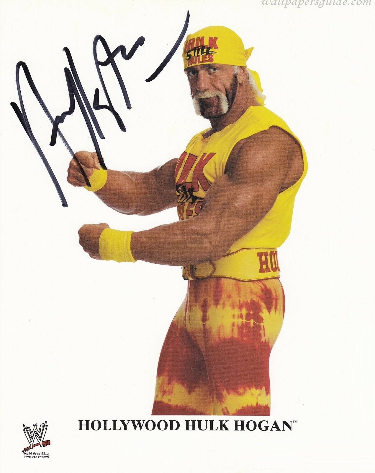 Hollywood Hulk Hogan WWF / WWE Wrestler 8 x 10  Signed Autographed Photo Poster painting (RP 2)