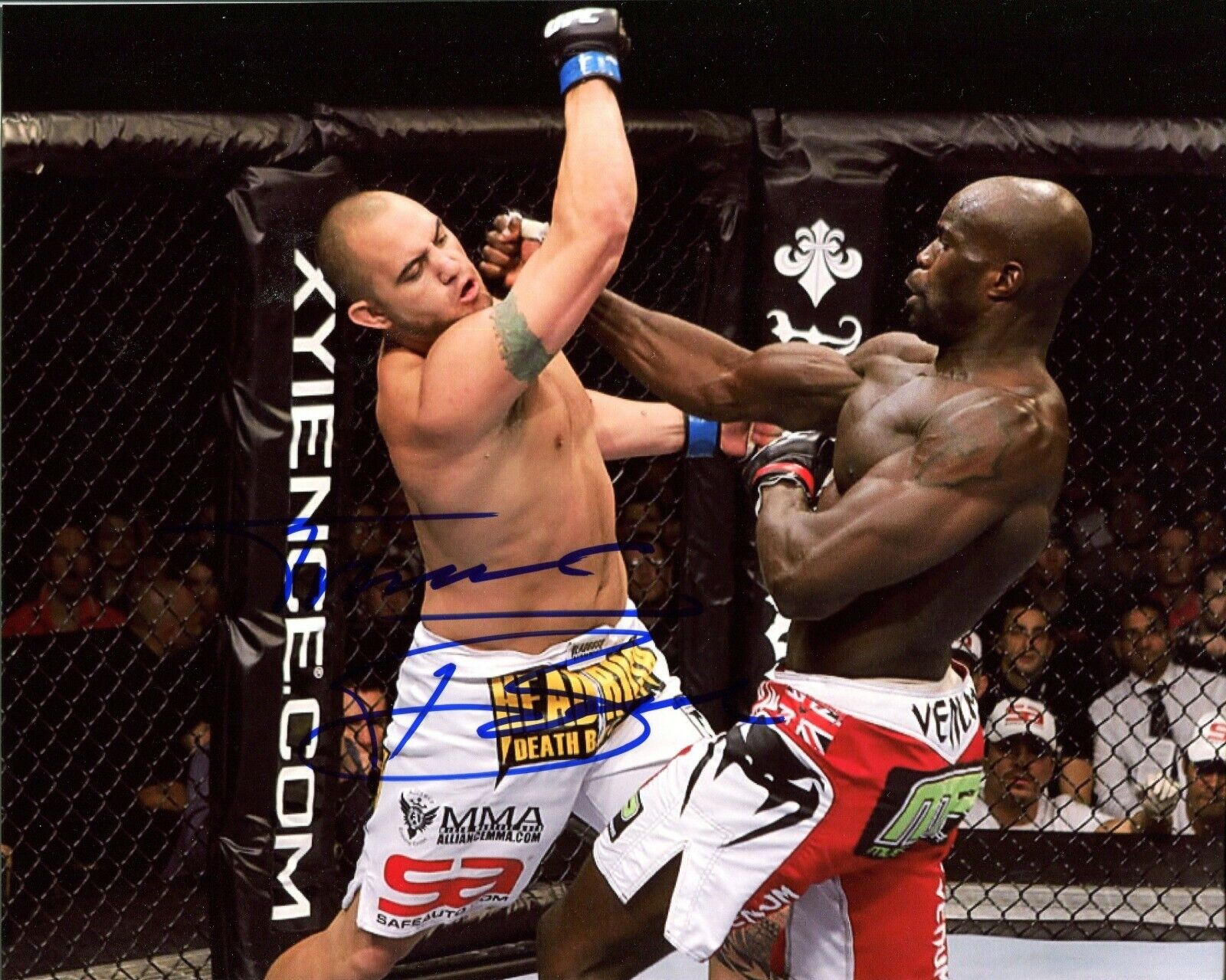 Travis Browne UFC Autographed Signed 8x10 Photo Poster painting Strikeforce CFS COA