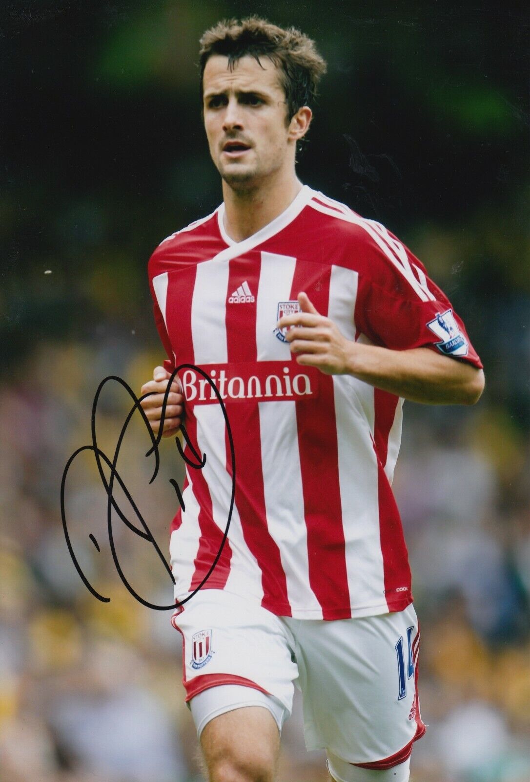 Danny Pugh Hand Signed 12x8 Photo Poster painting - Stoke City - Football Autograph.