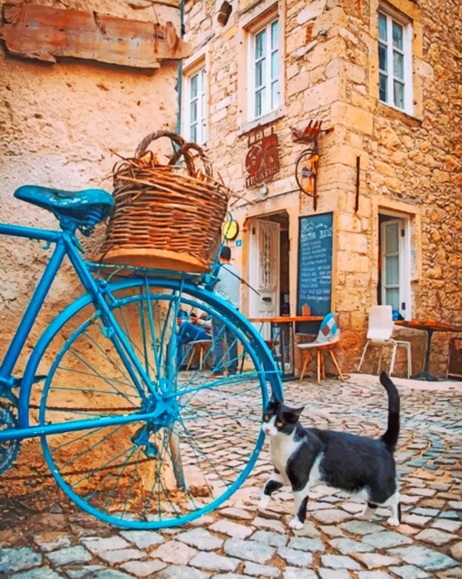 

Cat And Blue Bike – Paint By Numbers - 40*50CM, 501 Original