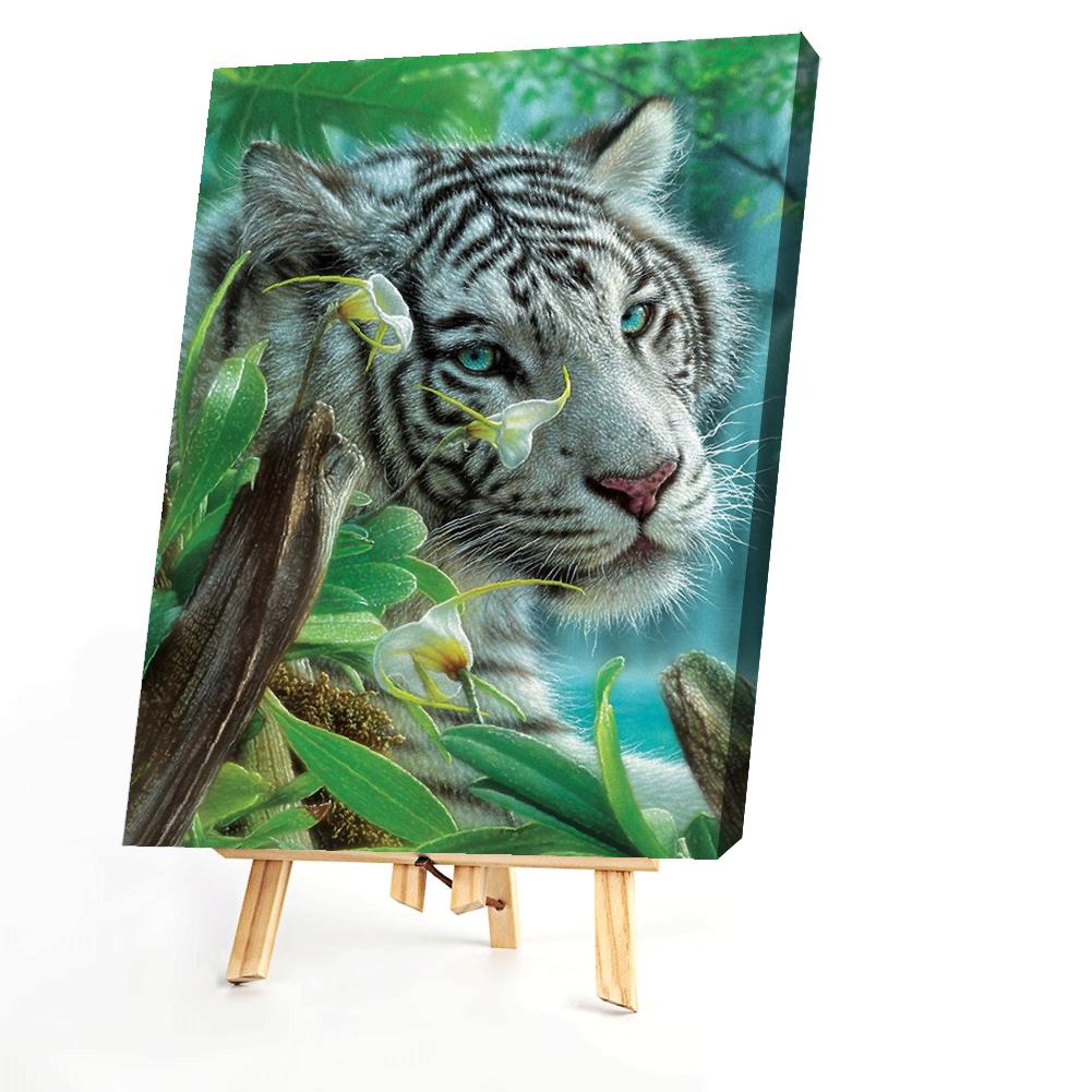 TigerPaint By Numbers 40*50cm